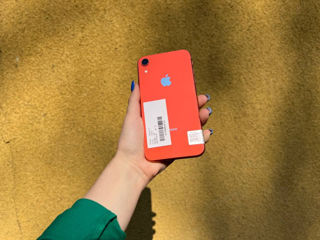 iPhone XR r 64 GB, 0% Кредит от 286 лей/месяц! Быстрая доставка по всей Молдове ! foto 2