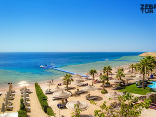 Egipt, Sharm El Sheikh - Royal Savoy 5* foto 5