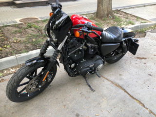 Harley - Davidson XL883N foto 8