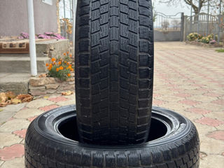 255/55R19