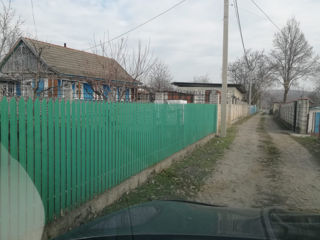 Vand casa . Satul Puhoi in apropiere de vinaria Asconi 35 km. de la Chisinau