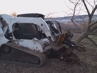 Oferim servicii de curățire teritoriu agricole, defrișare mecanizată. Bobcat