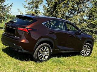 Lexus NX Series foto 6