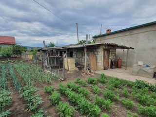 Casa reg. Cogîlnic foto 15