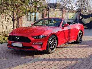 Ford Mustang foto 1