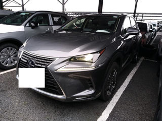 Lexus NX Series