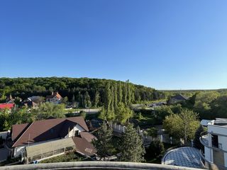 Se vinde casa in Dumbrava ,zona linistita si priveliste de invidiat foto 5