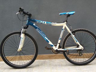 Lombardo Alverstone 270