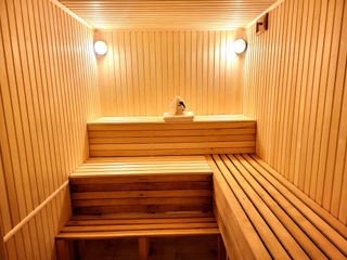 Sauna Maxim Pasha!