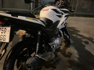 Honda Cbf 125 foto 4