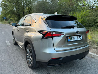 Lexus NX Series