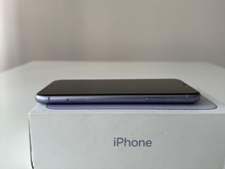 iPhone 11 Purple foto 6