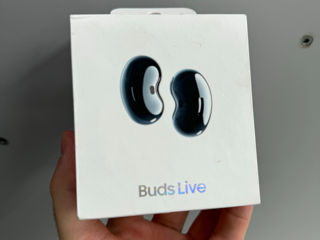 Samsung Galaxy Buds Live - sigilate