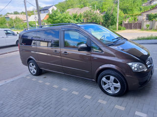 Mercedes Viano foto 4