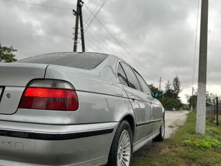 BMW 5 Series foto 5