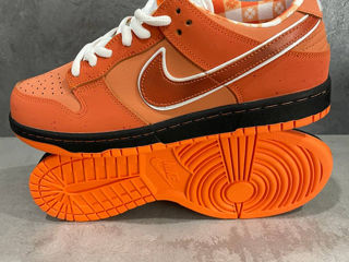 Nike SB Dunk Low Orange Lobster Unisex foto 8