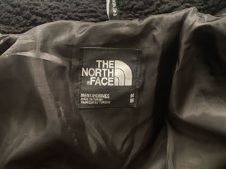 Scurtă The North Face