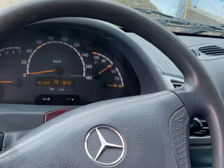 Mercedes Sprinter foto 3