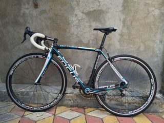 Focus Izalco Carbon foto 7