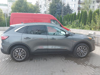 Ford Escape foto 5