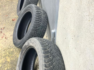 Nokian hakkapeliitta r3 205 55 r16 foto 3