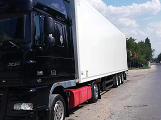 Daf Daf foto 3