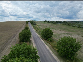 Teren or. Orhei, prima linie, la traseu. ( Suprafața: 1 ha) foto 1