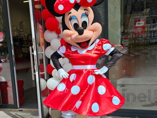 Mickey și Minnie Mouse / Микки и Минни маус аниматоры / animatori mascote Moldova foto 7