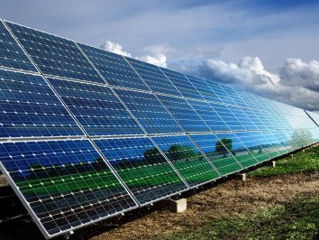 12 ha teren afacere Panouri solare Солнечны батереи