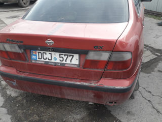 Nissan Primera foto 3