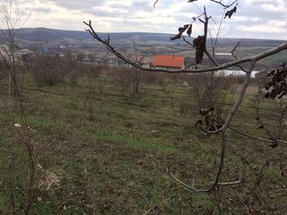 Teren pentru construcții, Suruceni foto 3