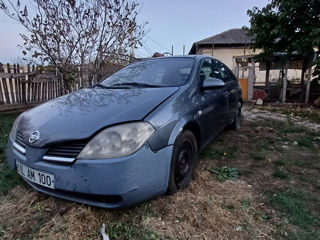 Nissan Primera foto 3