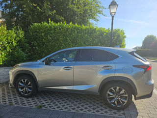 Lexus NX Series foto 5