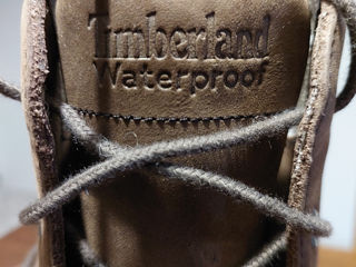 Timberland foto 3