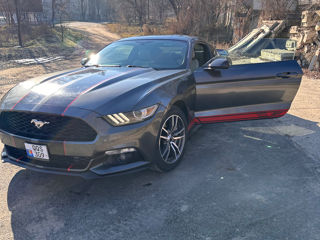 Ford Mustang foto 5