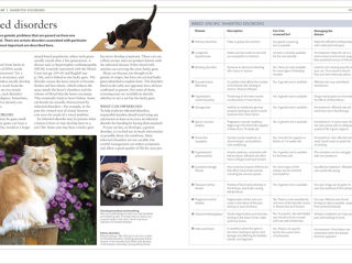 The Cat Encyclopedia: The Definitive Visual Guide (DK Pet Encyclopedias) foto 8