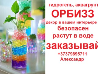 Шарики Орбиз Orbeez (гидрогель, аквагрунт) 1000 шт. Доставка почтой по Молдове. foto 1