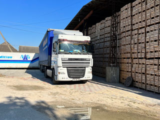 Daf XF 95.430 foto 3