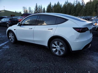 Tesla Model Y foto 3