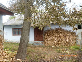 2 case vechi, teren 15a. in s.Fuzauca r-ul Soldanesti foto 4