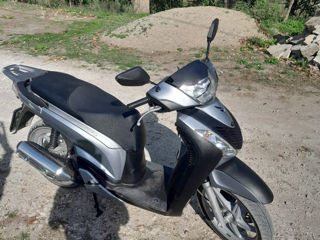 Honda Sh- 150 foto 4