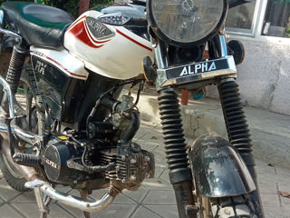 Alpha Moto Rx foto 3