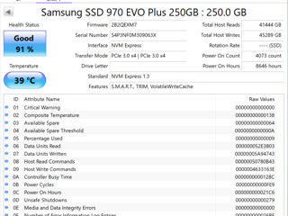 Samsung 970 EVO Plus 250 GB NVMe M.2 SSD foto 3