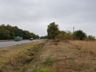 Vind teren 200 ari la traseul international spre Orhei, 5 km de la Chisinau / участок 2 га foto 7