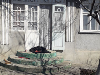 se vinde casă în Chițcanii Vechi, pe strada centrală, 26 sote, vie, 2 beciuri
