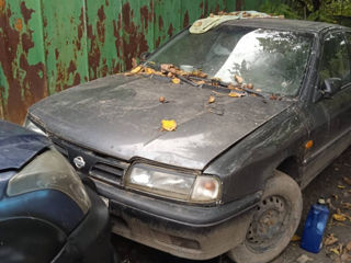 Nissan Primera foto 4