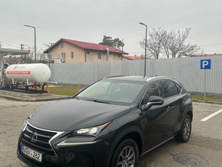 Lexus NX Series