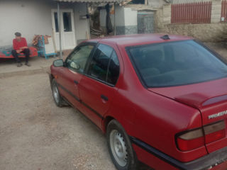 Nissan Primera foto 2