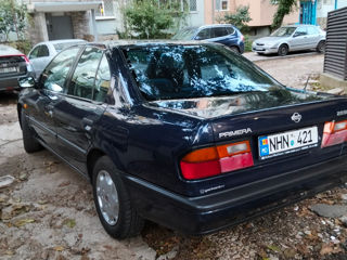 Nissan Primera foto 4