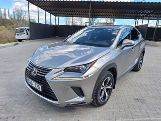 Lexus NX Series foto 7